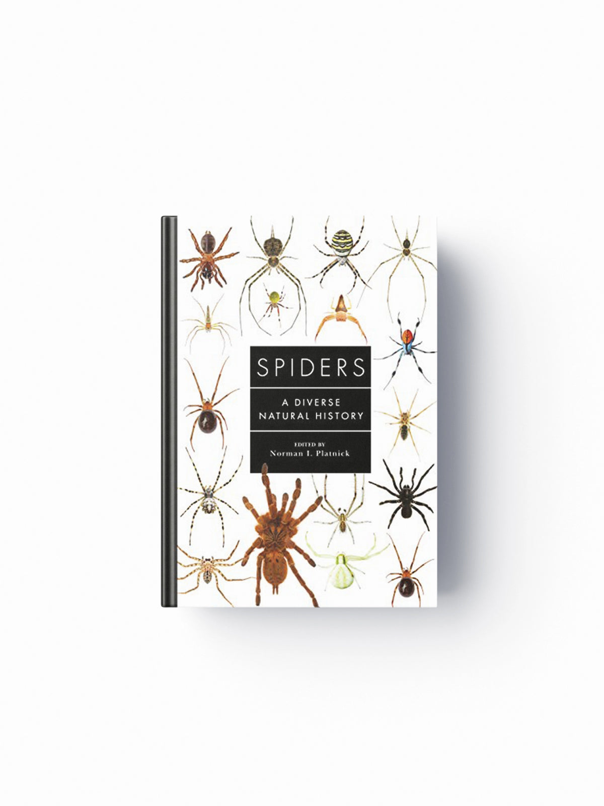 Spiders of the World by Norman Platnick; 9781782407508