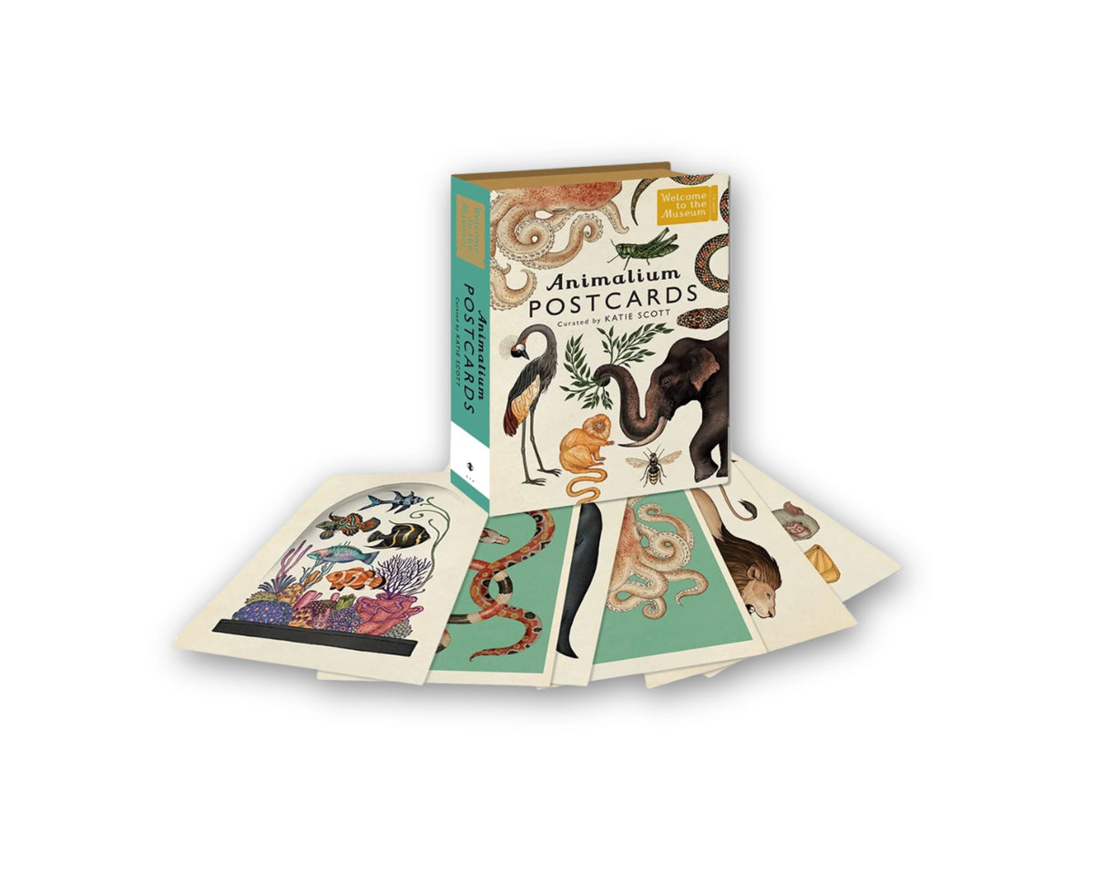 Animalium Postcards by Katie Scott; 9781783706259