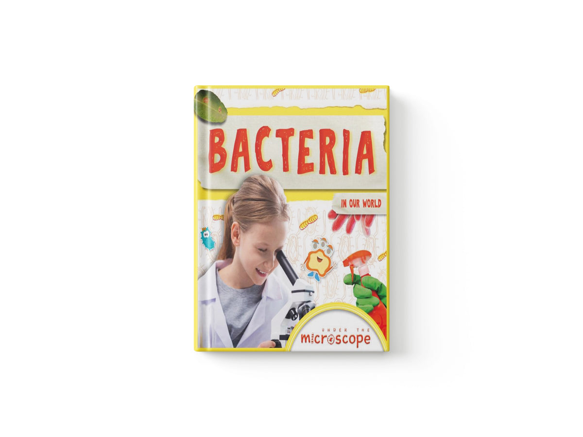 Bacteria