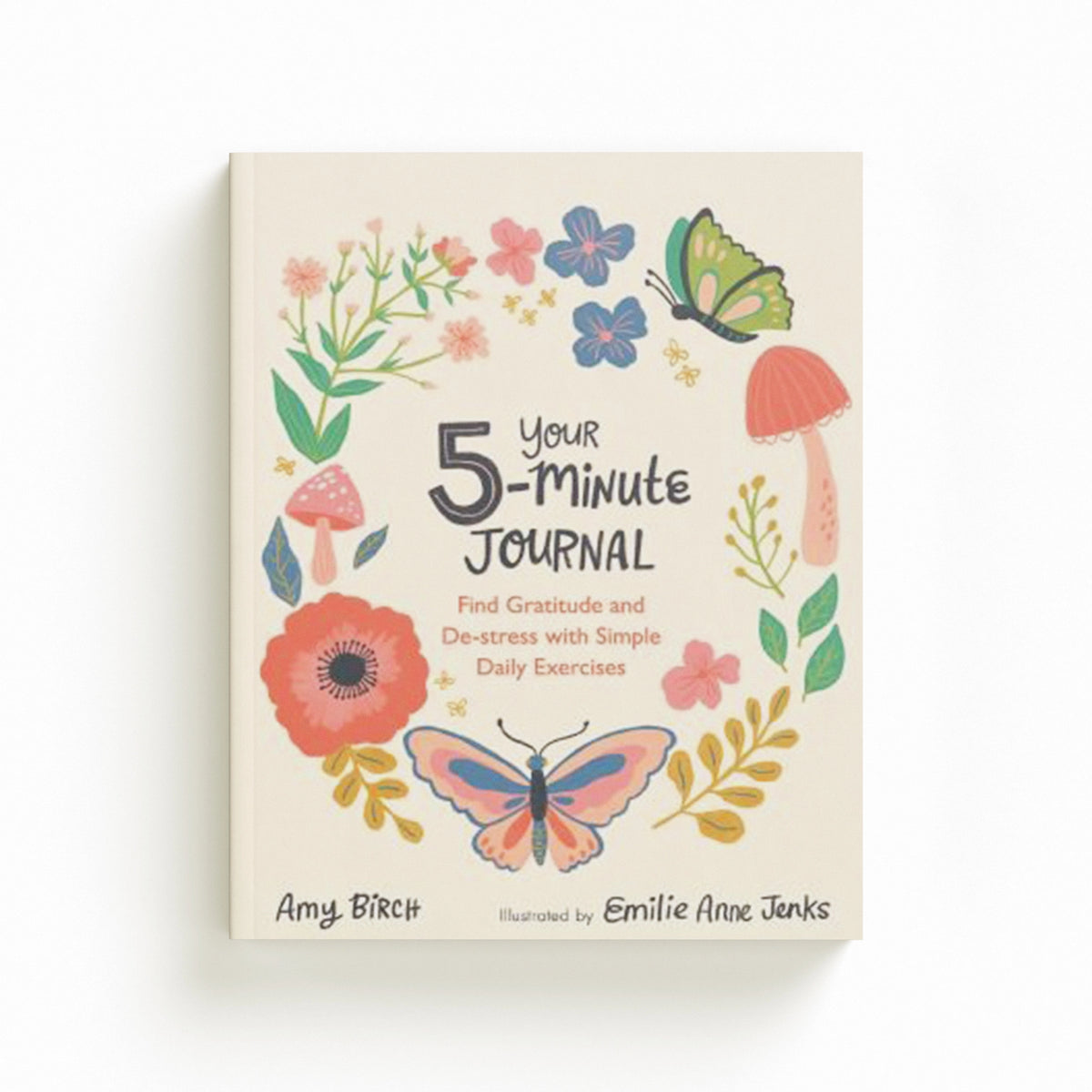 Your 5-Minute Journal by Amy Birch; 9781789294309