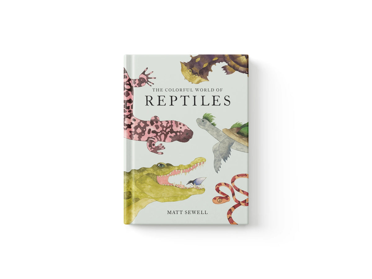 The Colorful World of Reptiles