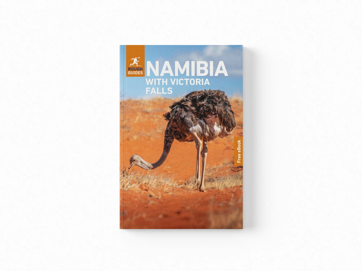 Rough Guides Namibia with Victoria Falls: Travel Guide with eBook