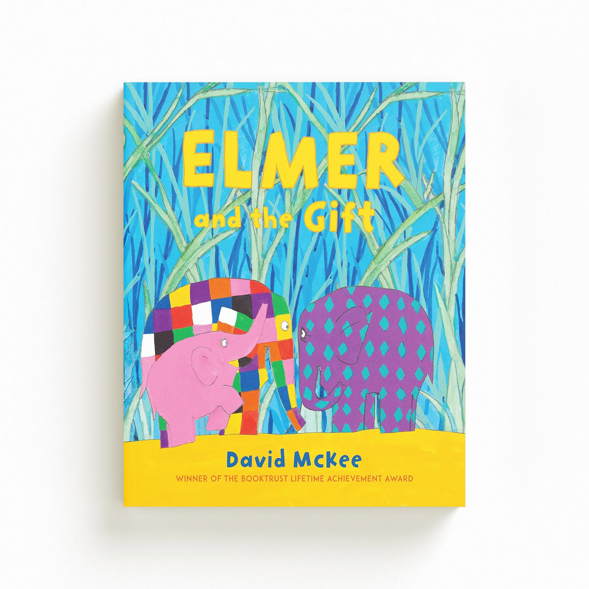 Elmer and the Gift by David McKee; 9781839131608