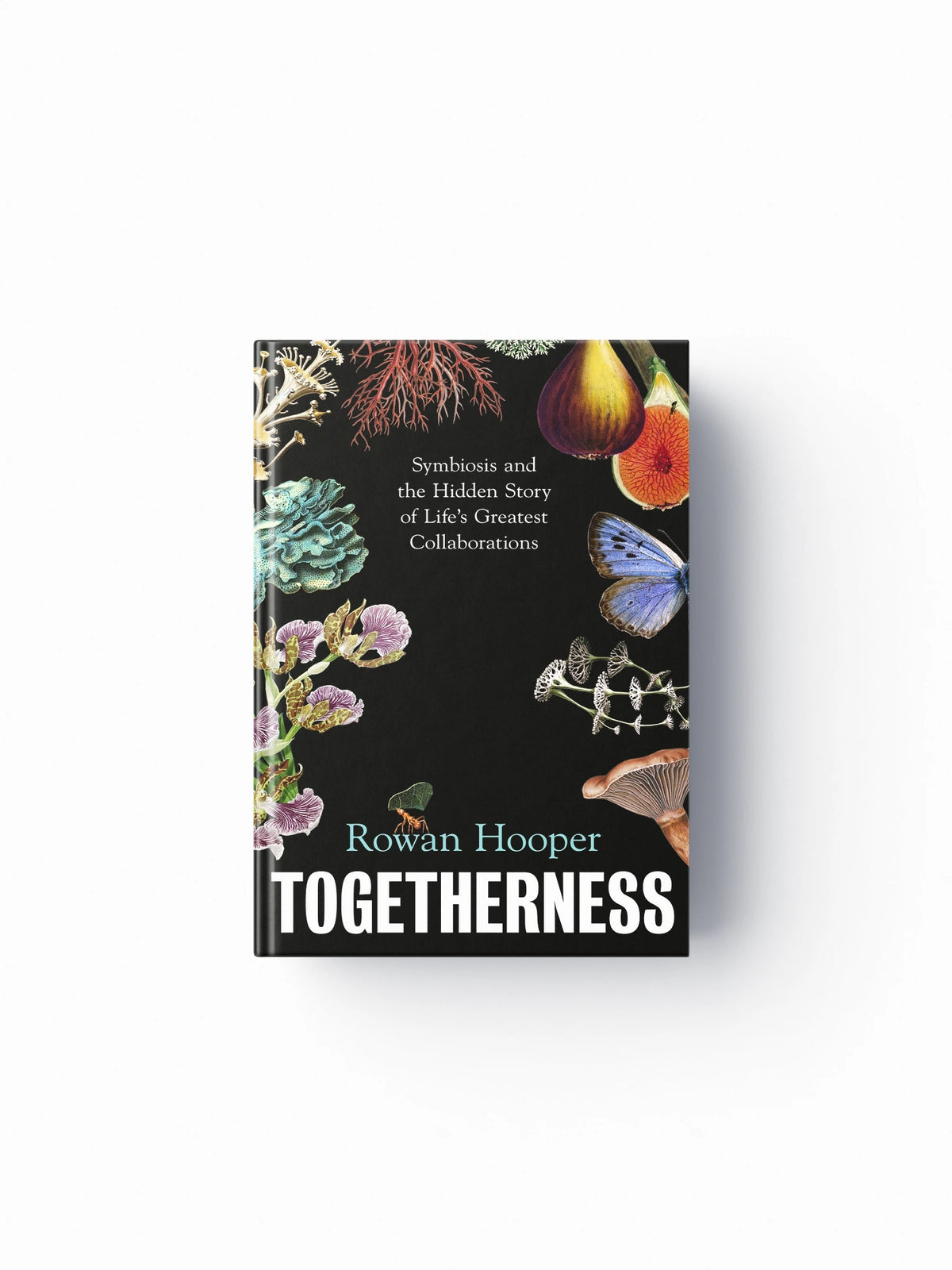 Togetherness