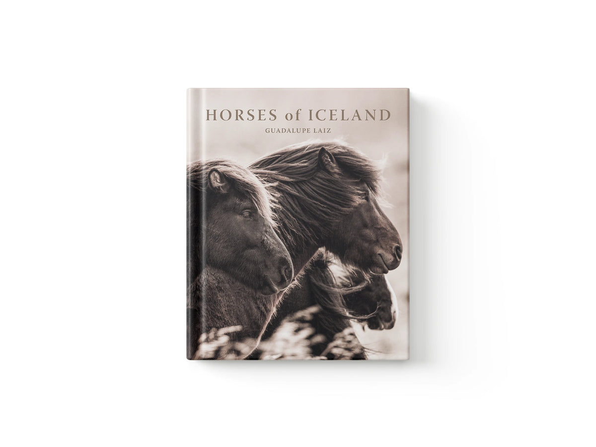 Horses of Iceland