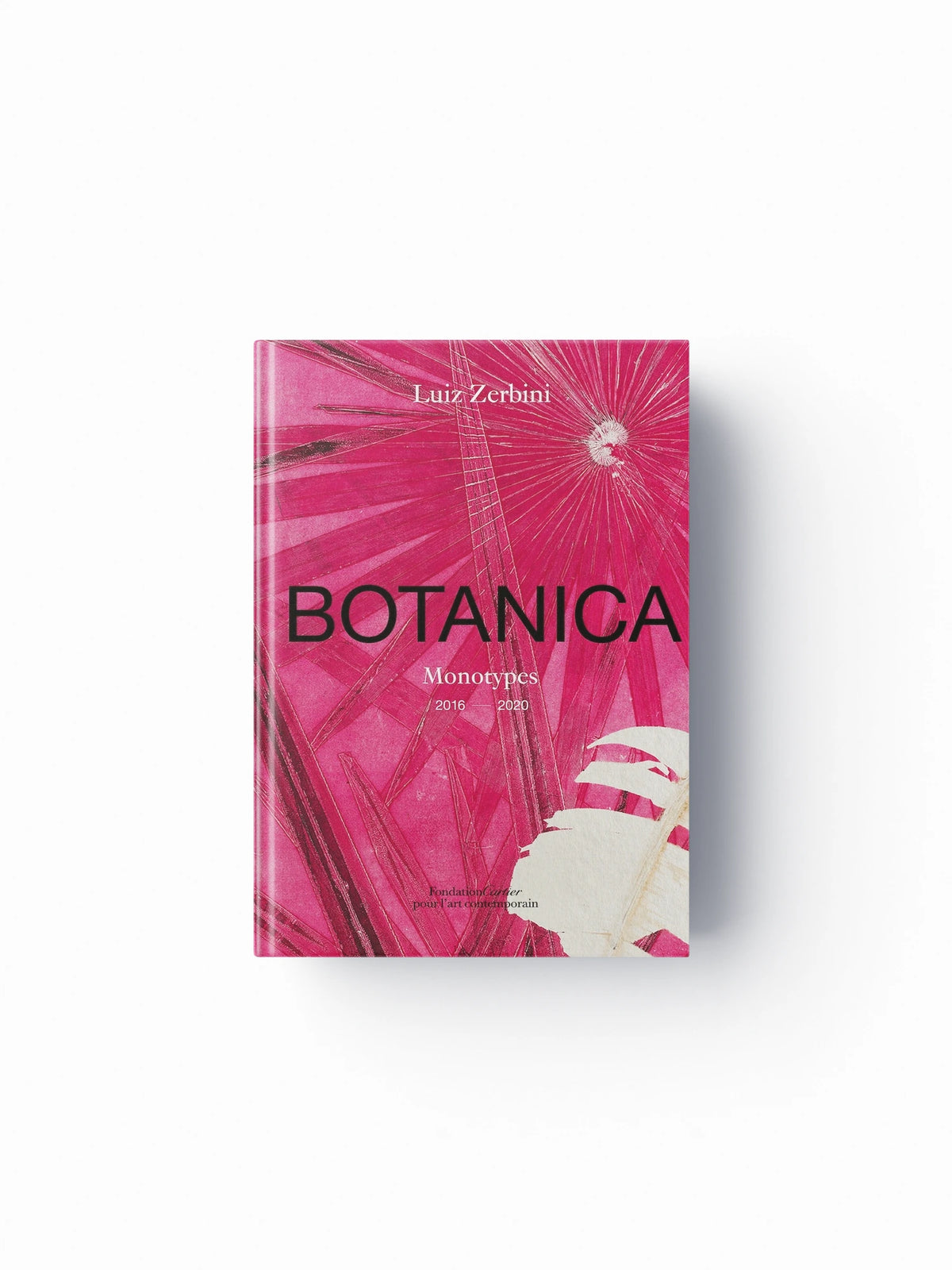 Luiz Zerbini: Botanica