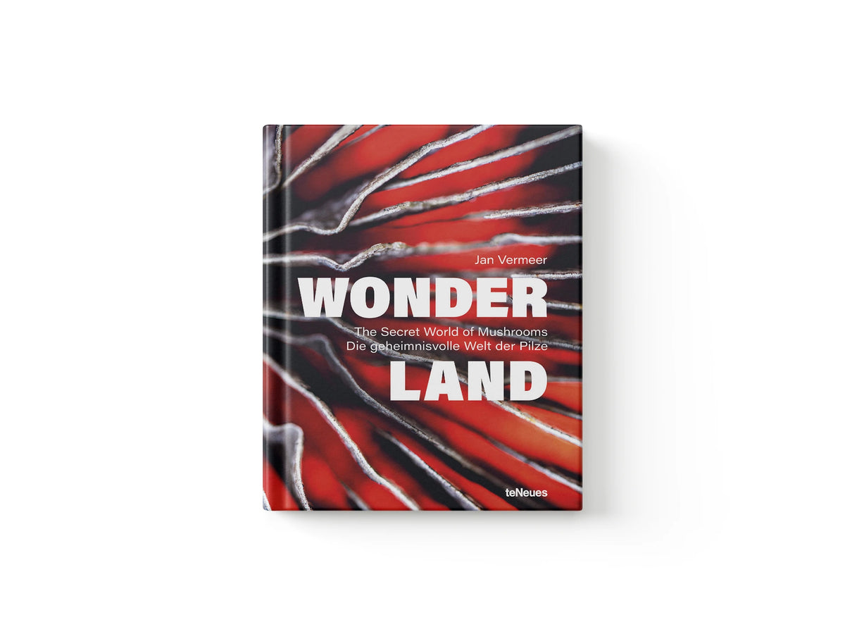 Wonderland