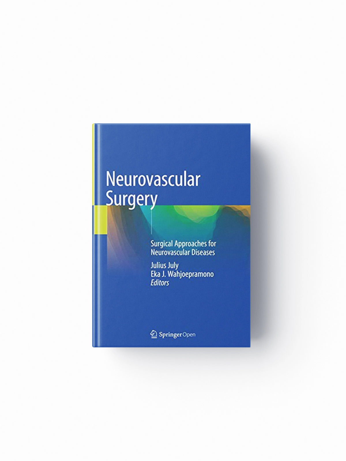 Neurovascular Surgery; 9789811089497